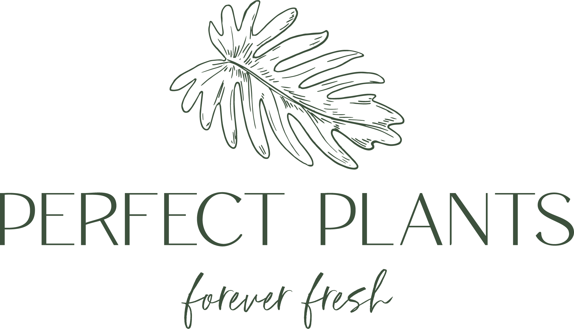 About Us Perfect Plants