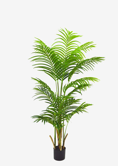 Areca Artificial Pal Perfect Plants Australia 1.1