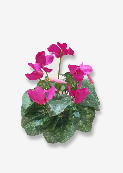 Artificial Cyclamen Flower Bush Purple