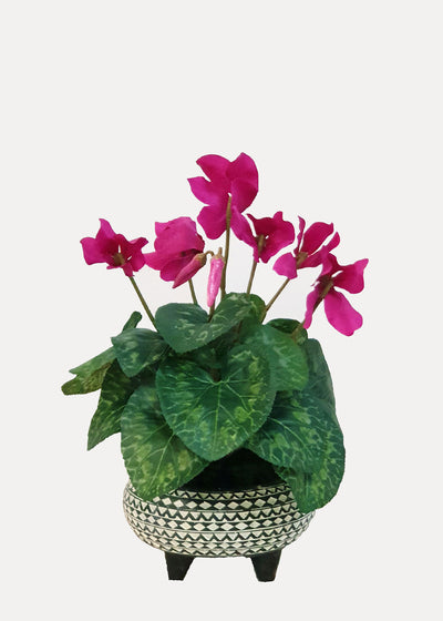 Artificial Cyclamen Flower Bush Purple