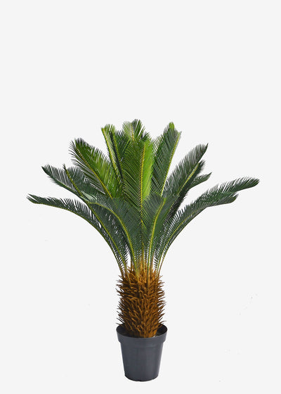 Artificial Cycad Palm Perfect Plants Australia 1.1m