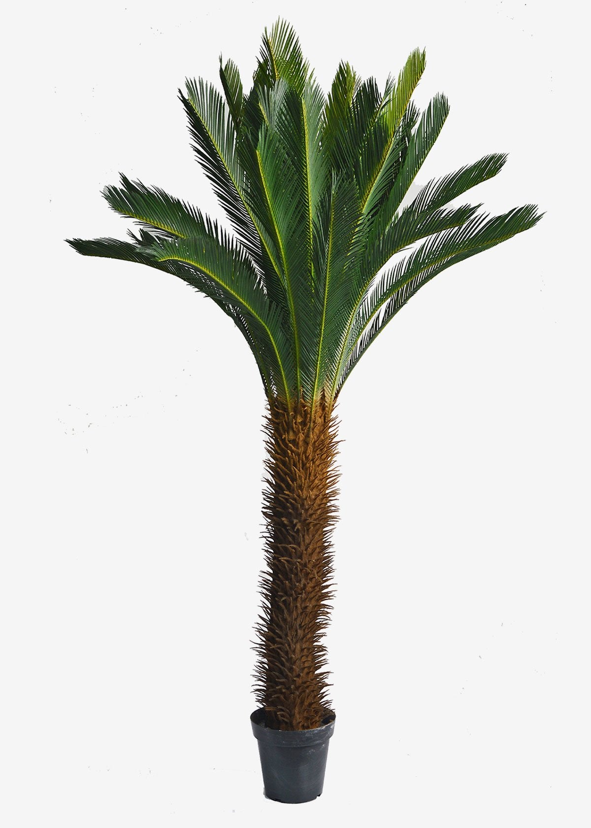 Artificial Cycad Palm Perfect Plants Australia 2.0m