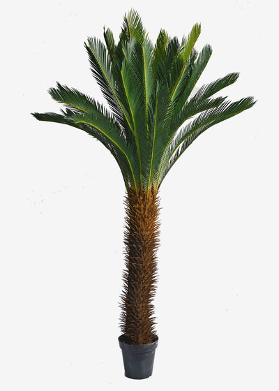 Artificial Cycad Palm Perfect Plants Australia 2.0m