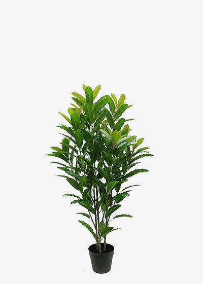 Artificial Coffee Tree Perfect Plants Australia 1.2m