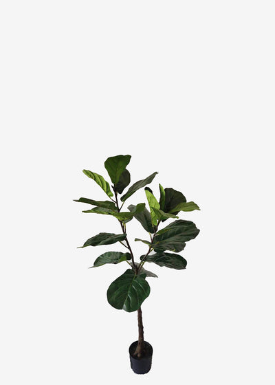 Artificial Fiddle Leaf Fig Perfect Plants Australia 1.2m