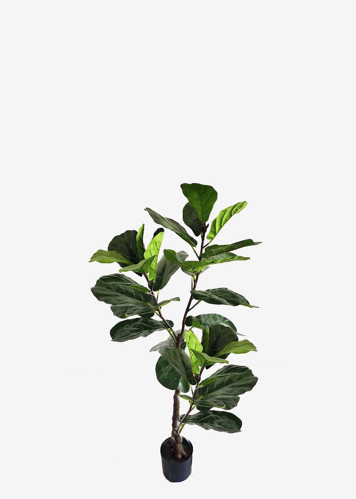 Artificial Fiddle Leaf Fig Perfect Plants Australia 1.25m