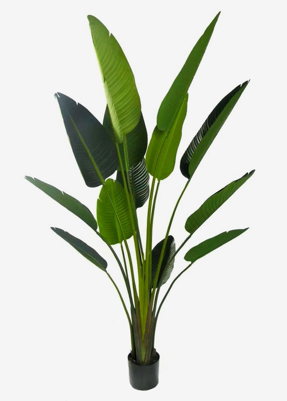 Artificial Traveller Palm Perfect Plants Australia 1.8m