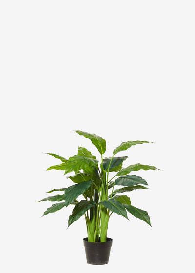 Artificial Lily Plants Gold Perfect Plants Australia 0.9m