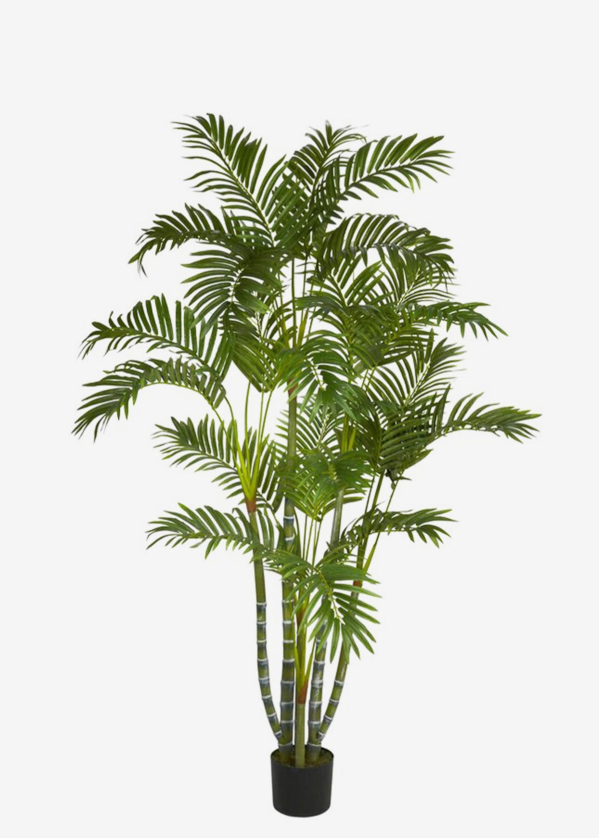 Mini-Cane Palm Artificial Perfect Plants Australia