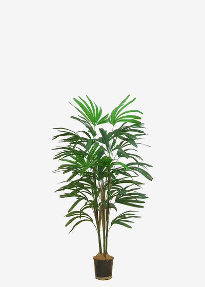 Perfect Plants Artificial Rhapis Palm 1.2m