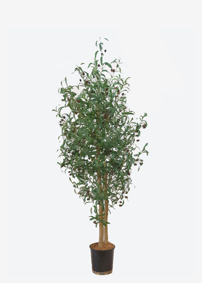 Perfect Plants Artificial Olive Tree 1.5m