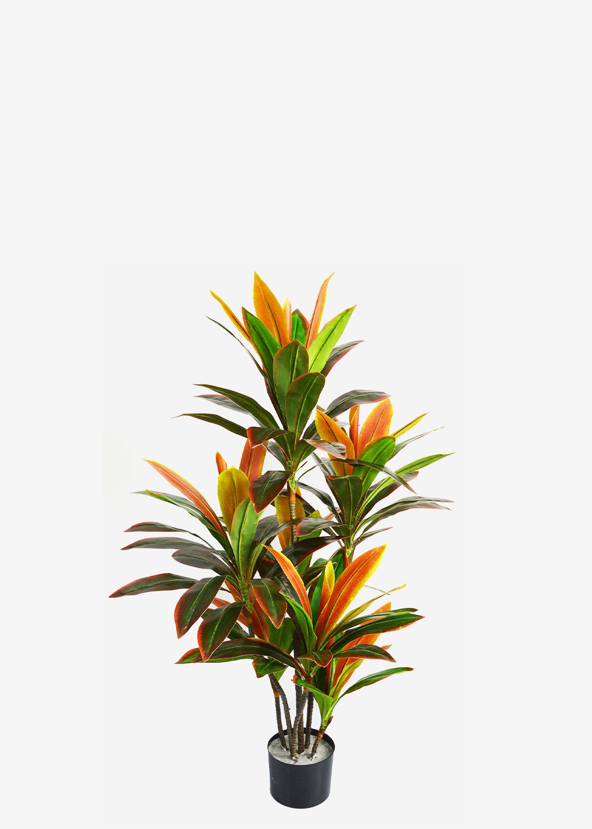 Perfect Plants Artificial Sunset Cordyline 1.2m