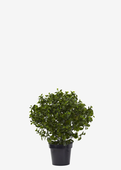 Artificial Lucky Jade Perfect Plants