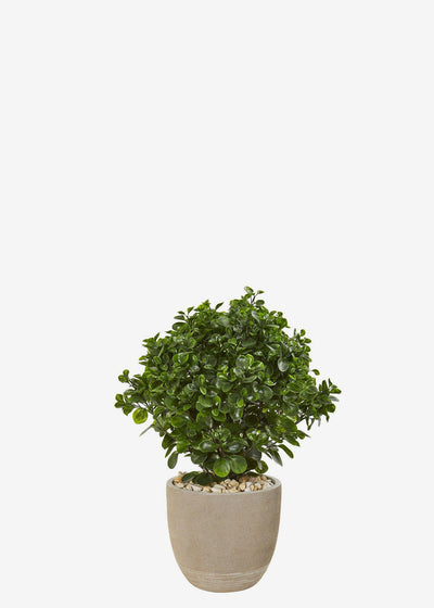 Artificial Lucky Jade with pot Perfect Plants