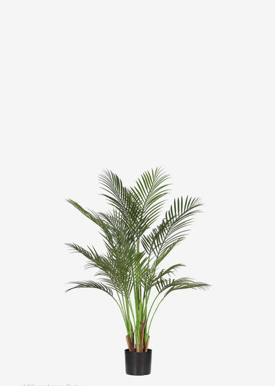 Artificial Alexander Palm