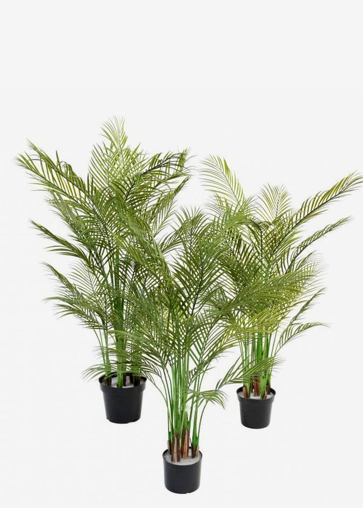 Artificial Alexander Palm Set of 3