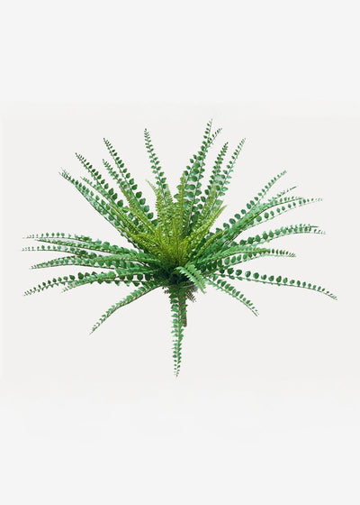 Artificial Button Fern