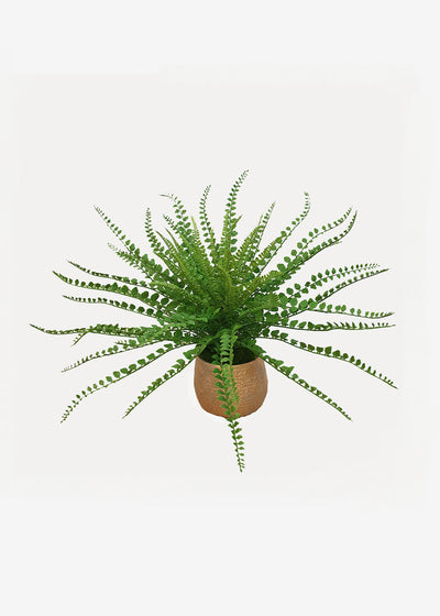 Artificial Button Fern